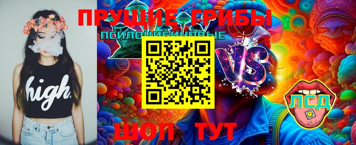 Москва  Галлюциногенные грибы MAGIC MUSHROOMS  Вход с VPN 