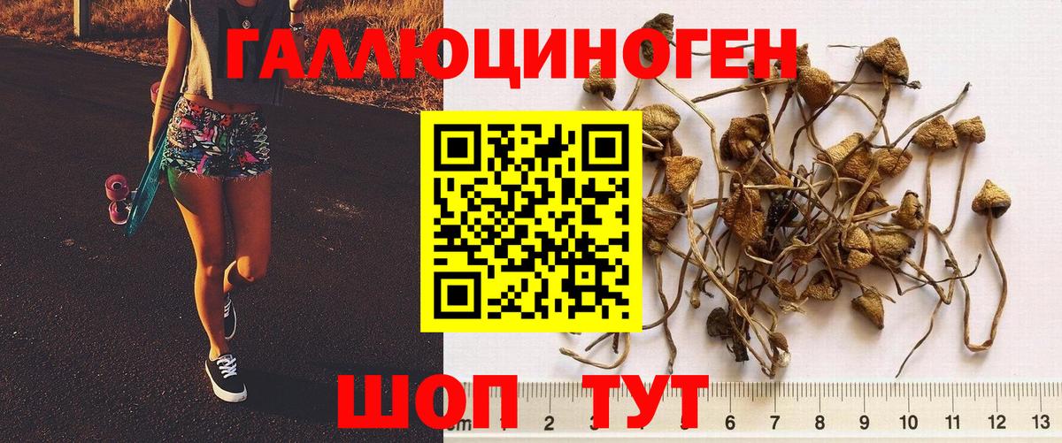 Псилоцибиновые грибы MAGIC MUSHROOMS Москва